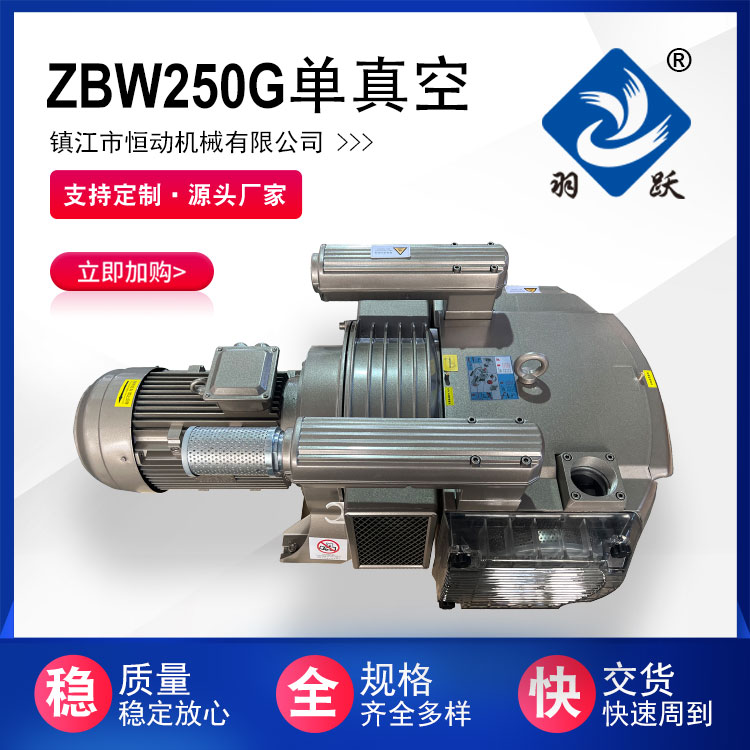 ZBW250G单级旋片式真空泵